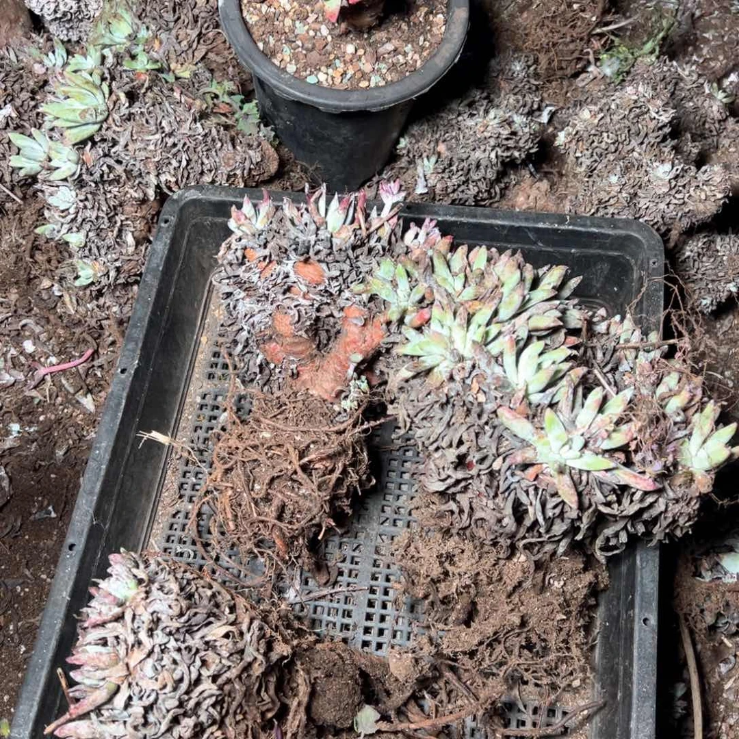 6211哈哈哈哈哈哈哈