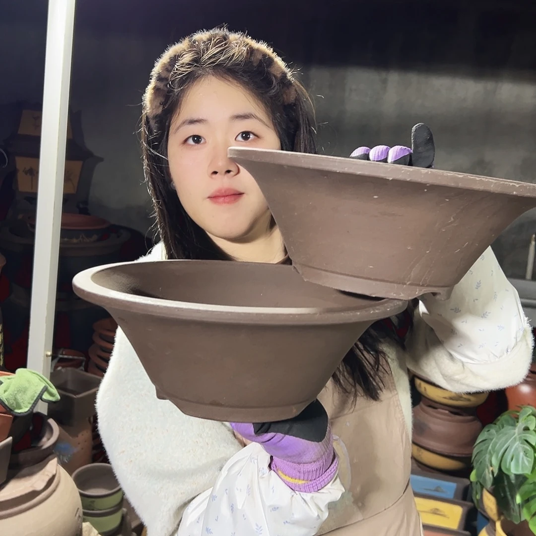 31+31斗盆花盆花盆花盆