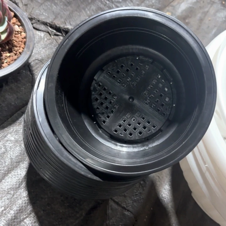 15公分黑色韩盆20个