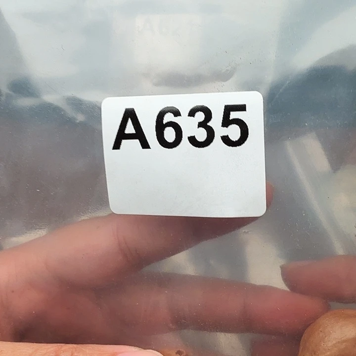 用***3橄榄核手串/手链橄榄