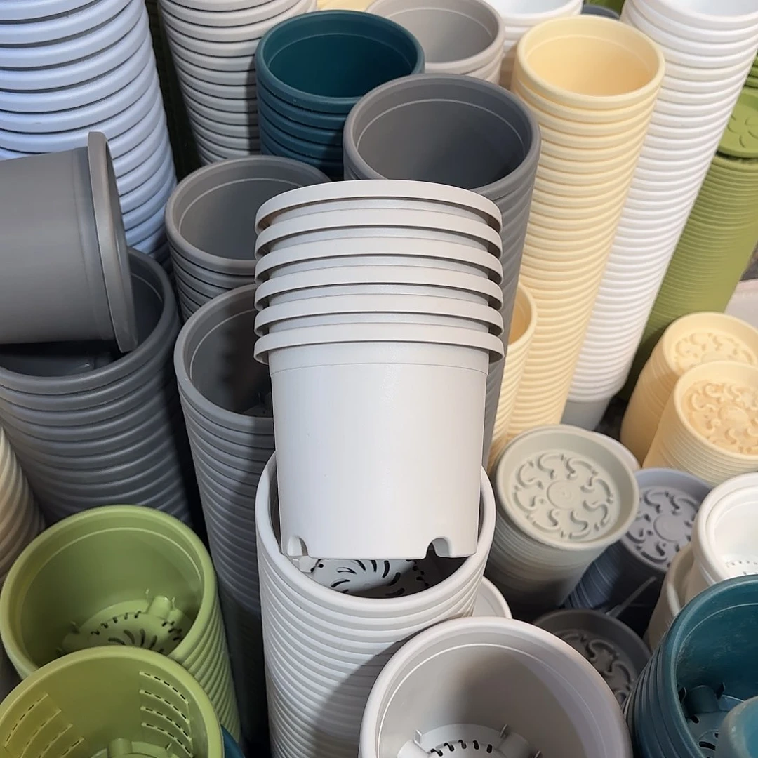 微瑕2号6个带托，灰白