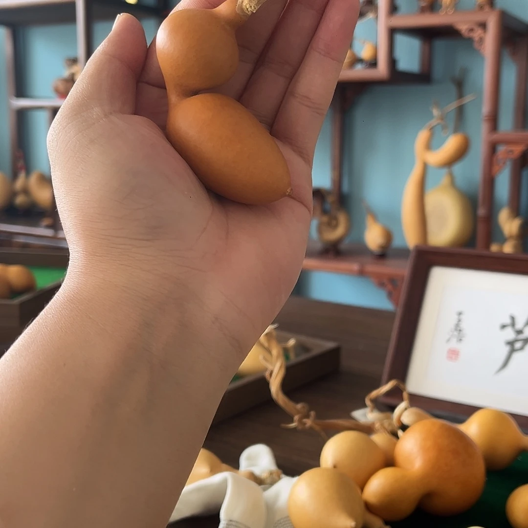 木M****舍感谢猫舍哥一路以来的支持