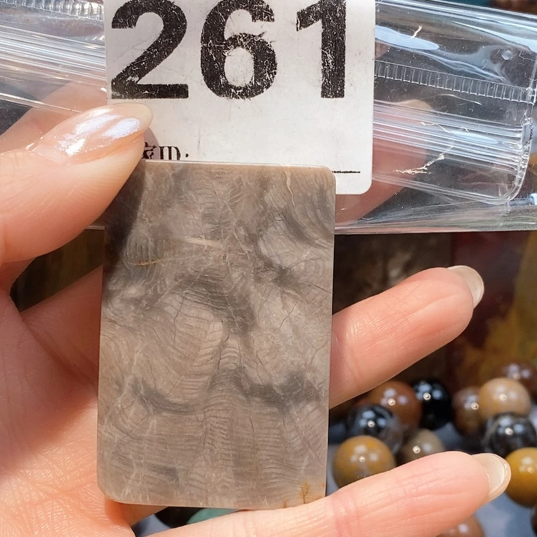 未镶嵌天然北票硅化玉吊坠硅化玉
