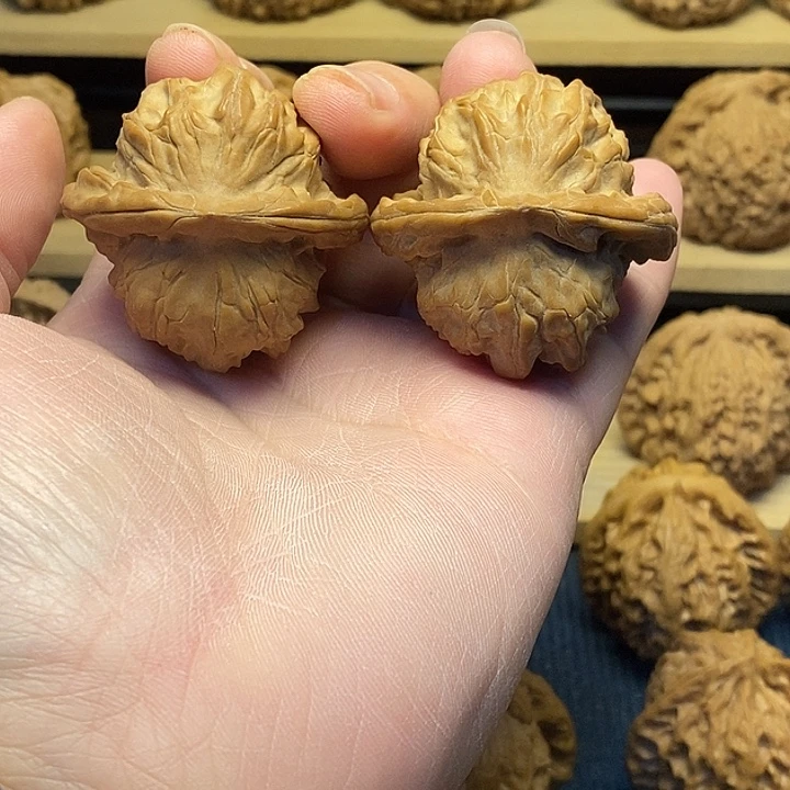 核桃42全品图图福利核桃