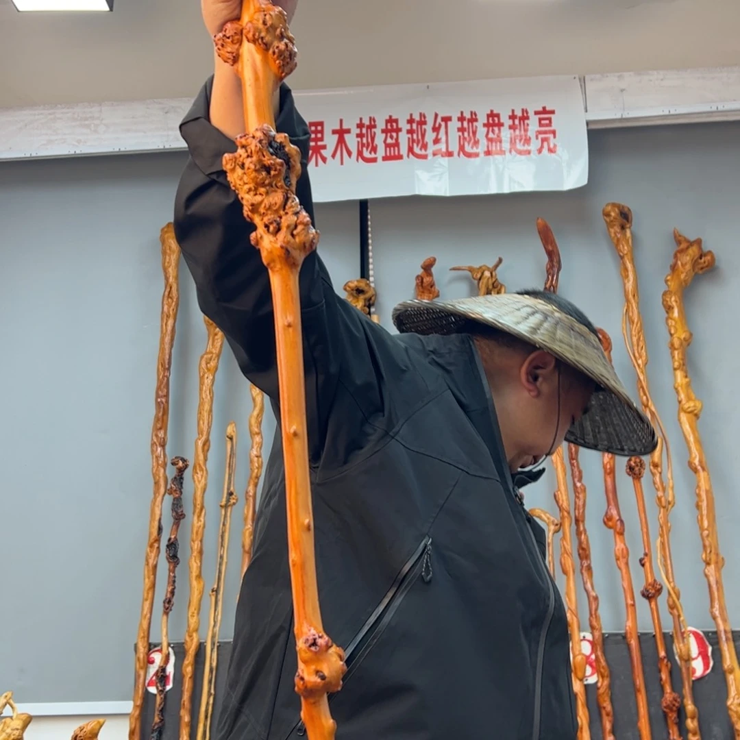 黑果木其他用****9黑果木707