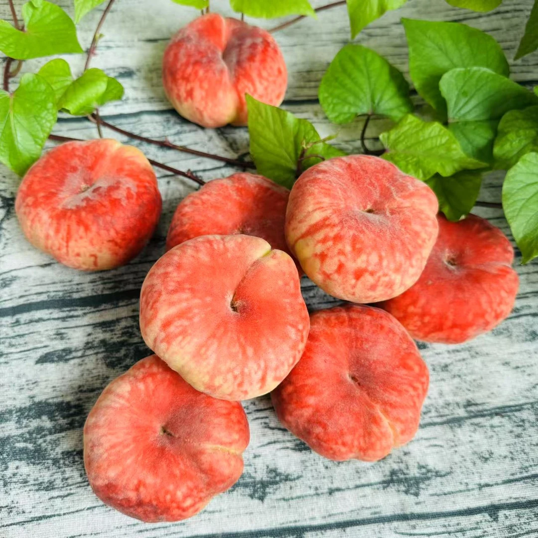 【乐鲜果园】新疆红蟠桃2.7斤新鲜甜蜜毛桃当季新鲜水果