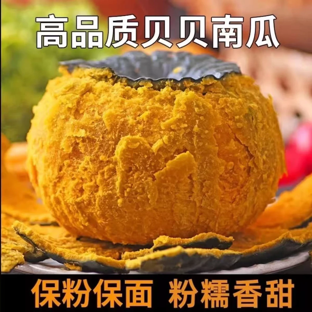 板栗味贝贝南瓜粉糯香甜适合孕妇宝宝的养生粗粮辅食净重4.5斤