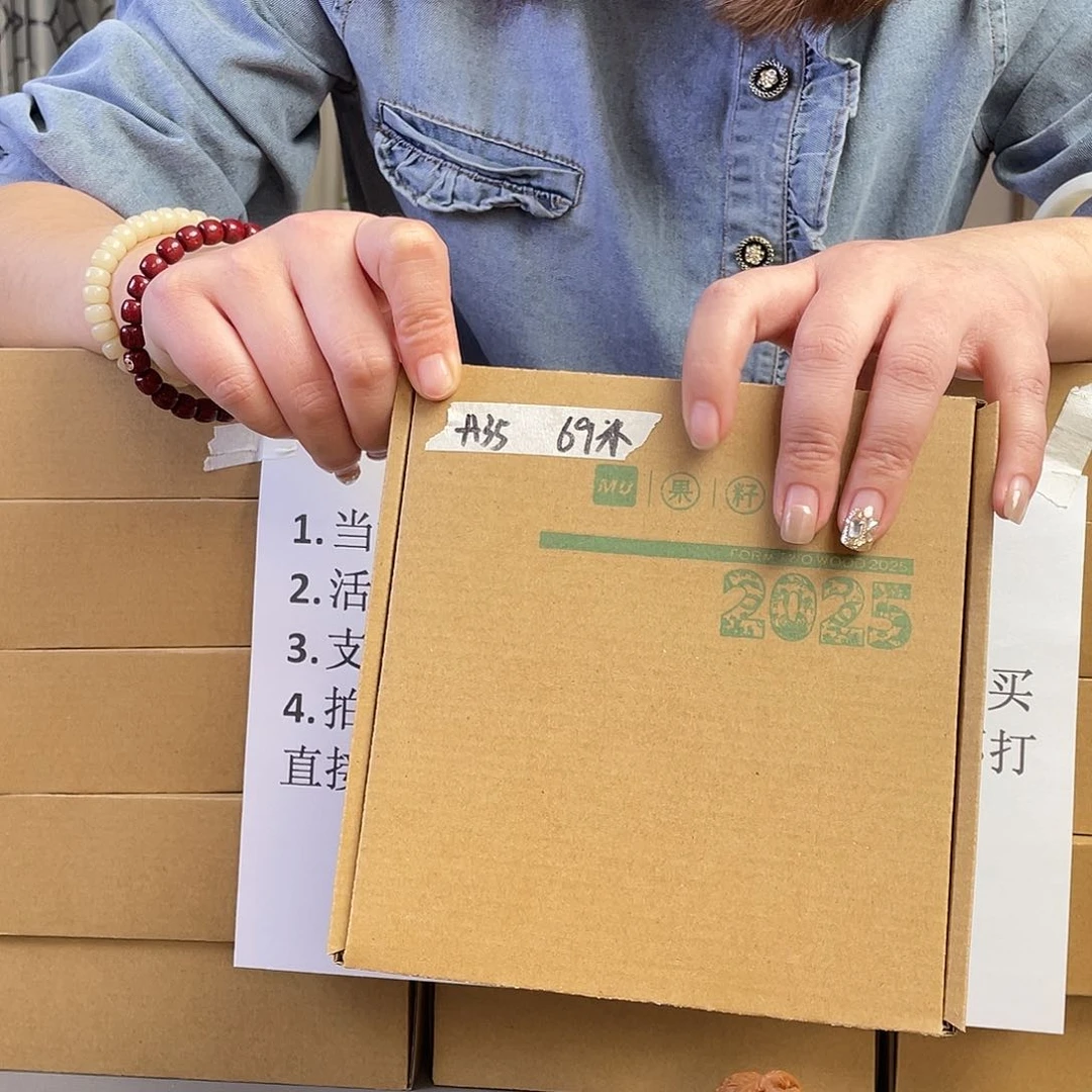 桃核把件A35文玩核桃