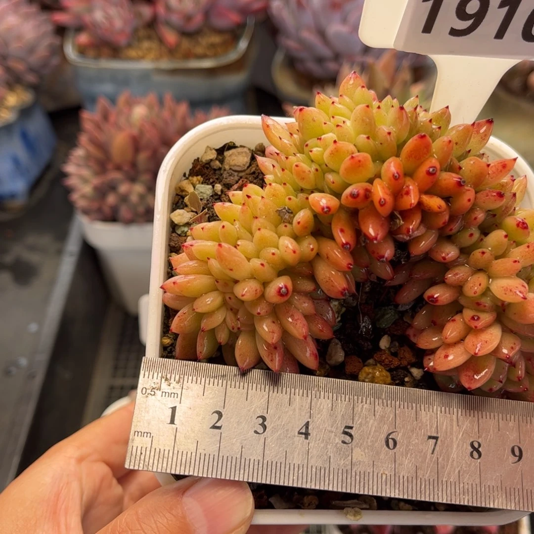 1910 满30包邮天冷必拍保温箱