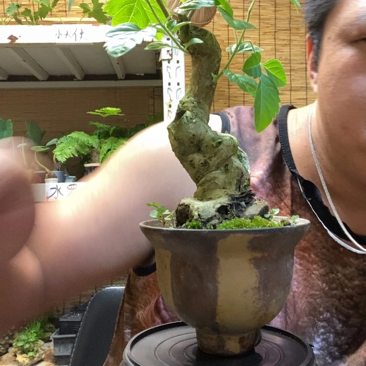 一物一拍所见即所得249