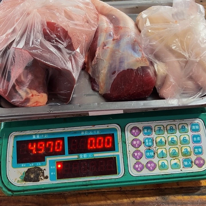广西土耕马马肉、沙姜炒马肉中国大陆