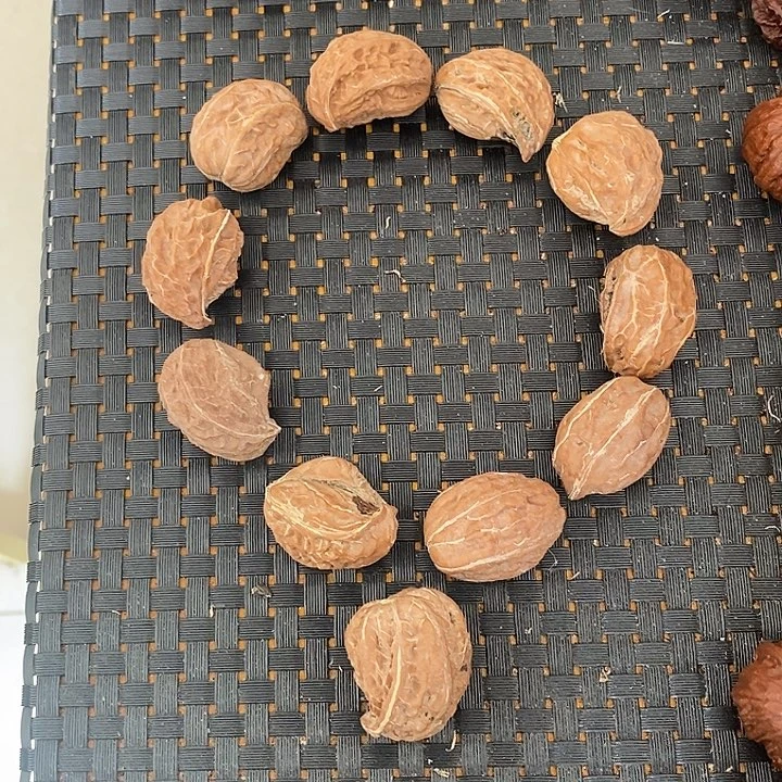 文玩核桃把件楠*?异形散