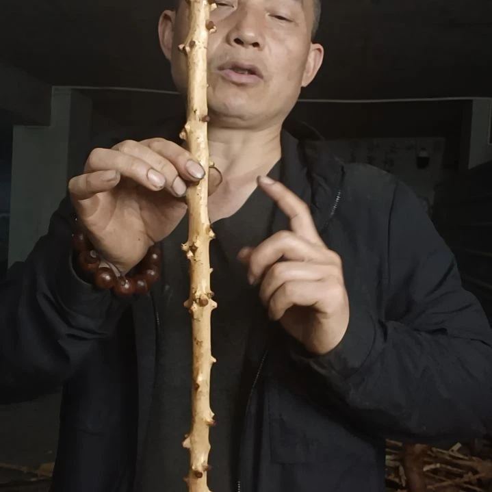 稳定木贵州檬子木   铁马鞭   根艺  半成品