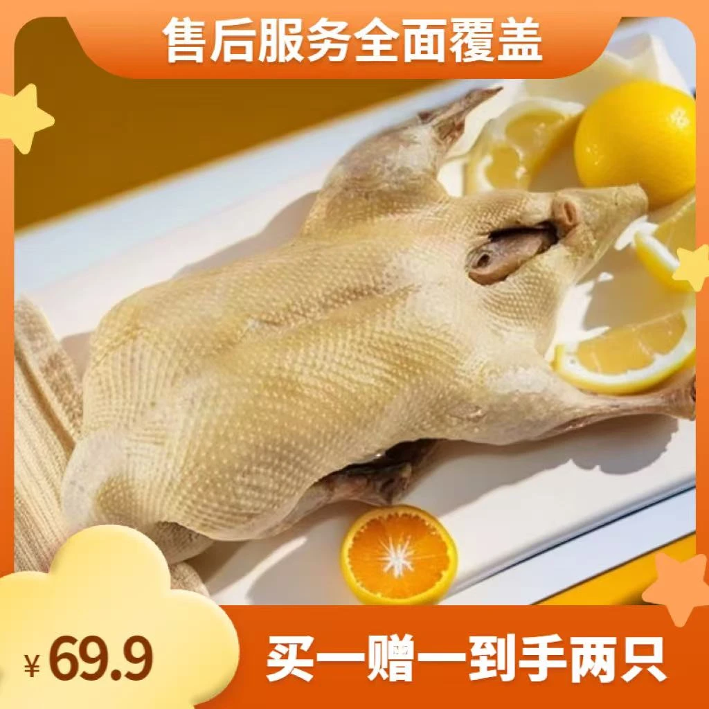 两只盐水鸭正宗金陵风味传统美食现做现发