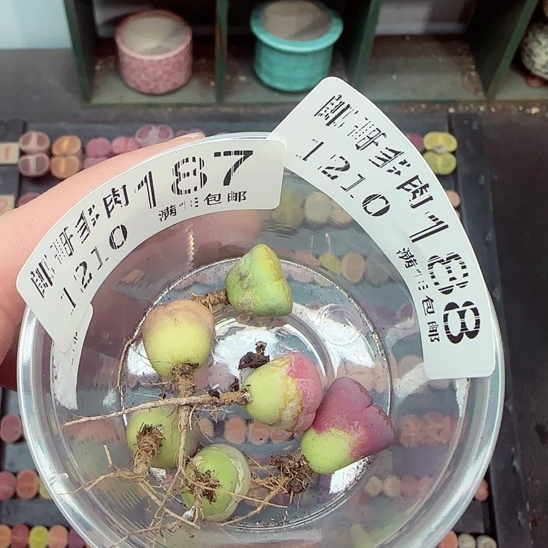 阳****满满18包邮1210-189