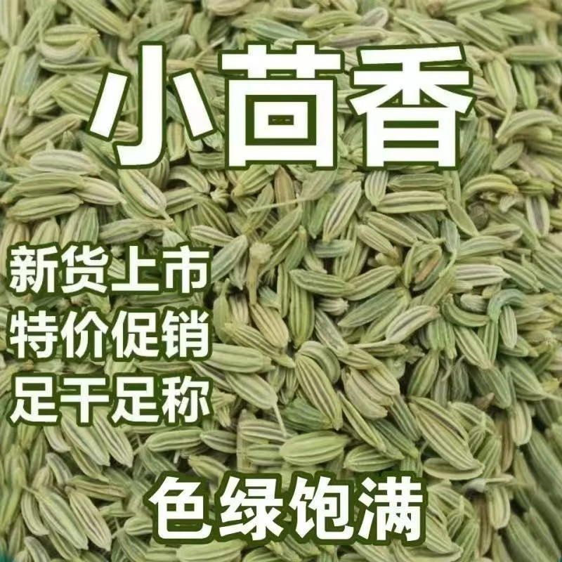 新货茴香小茴香粒全干无硫茴香籽调料香辛料卤肉底料
