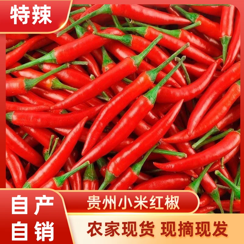 贵州高山新鲜现摘特辣红小米椒调味泡椒剁椒的蔬菜辣椒朝天椒红椒