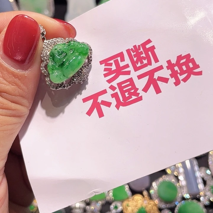 翡翠银S925镶嵌颈饰