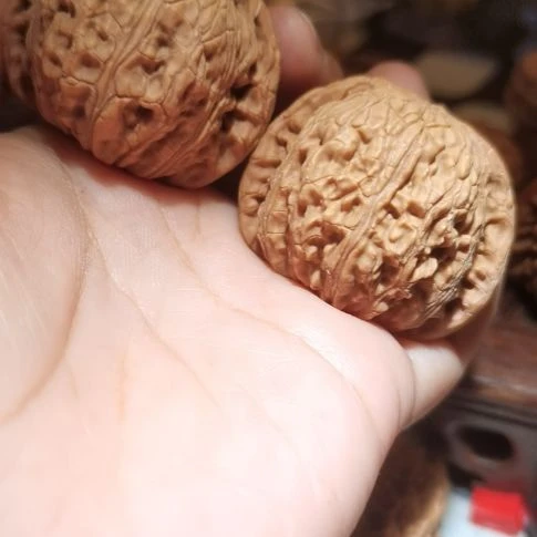 猴头核桃吊坠43泥鳅背