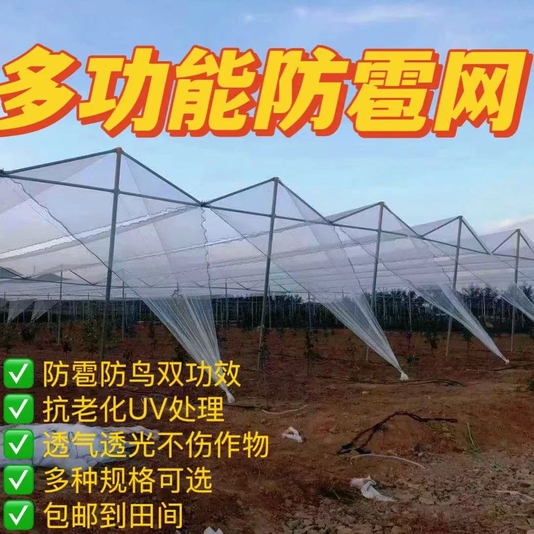 17丝 特制厚边工艺 防雹网 面积可覆盖二亩地