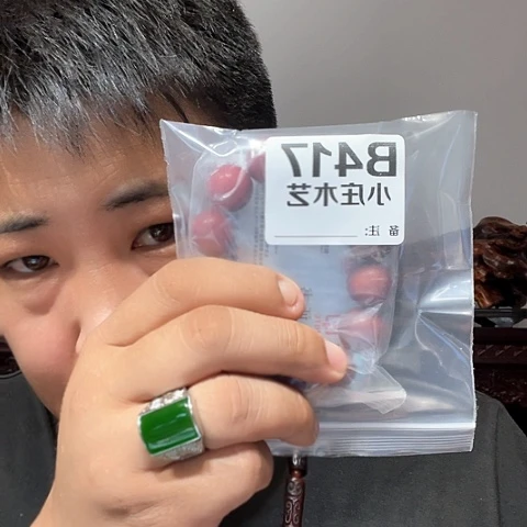 【闪购商品】石英石铁合金致*春417