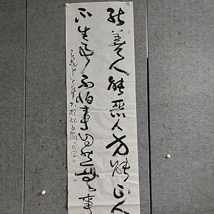 书法宋秉民。180X53。能善人能恶人方能正人