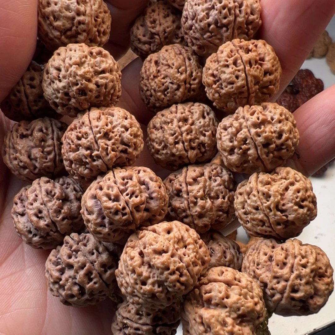 吊坠金刚菩提5瓣20粗筋梅花
