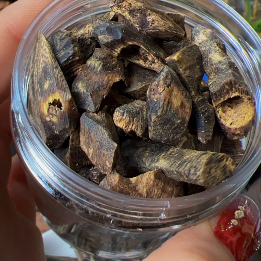 【闪购商品】沉香手把件奇楠金沙叶老块料78克