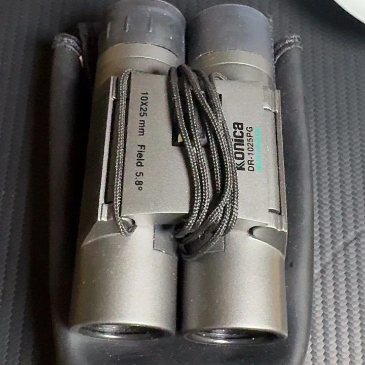 宿**欢啊啊啊啊啊啊啊啊啊啊啊啊