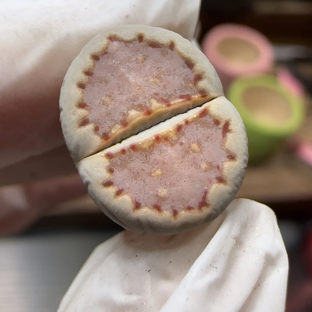 12.9.1621.013饼干.9011尺寸1.4cm