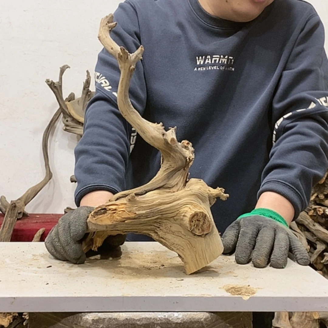 【闪购商品】柏木云*我们都是好孩子