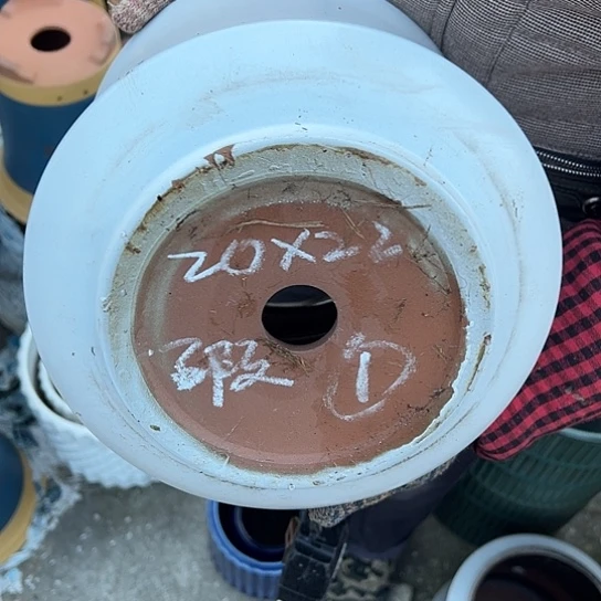紫砂工艺厂……紫砂工艺厂……