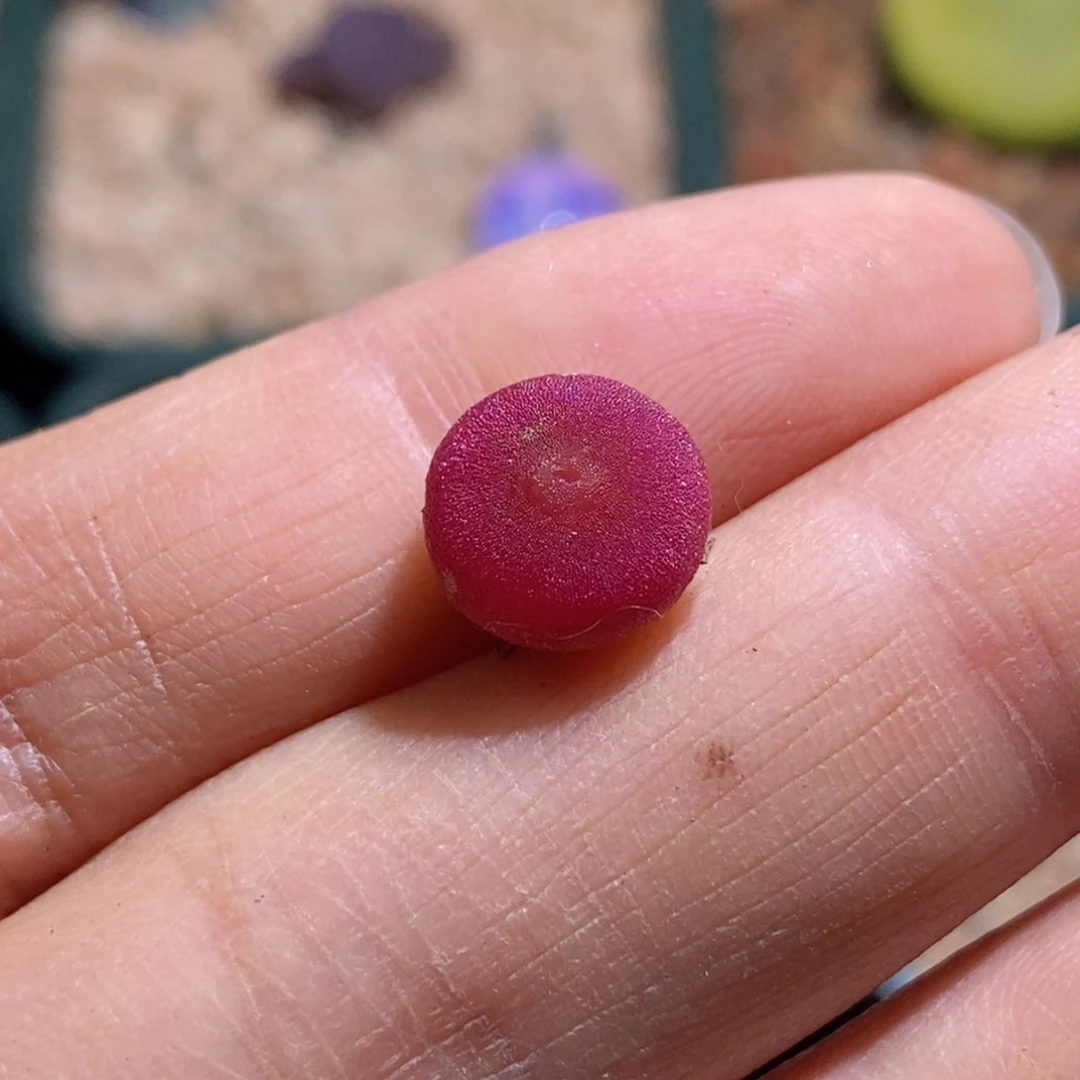 2034/哈默2034/哈默2034/哈默