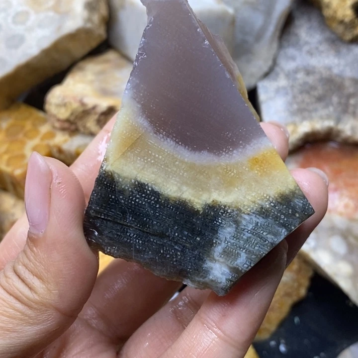 【闪购商品】未镶嵌珊瑚玉硅化玉