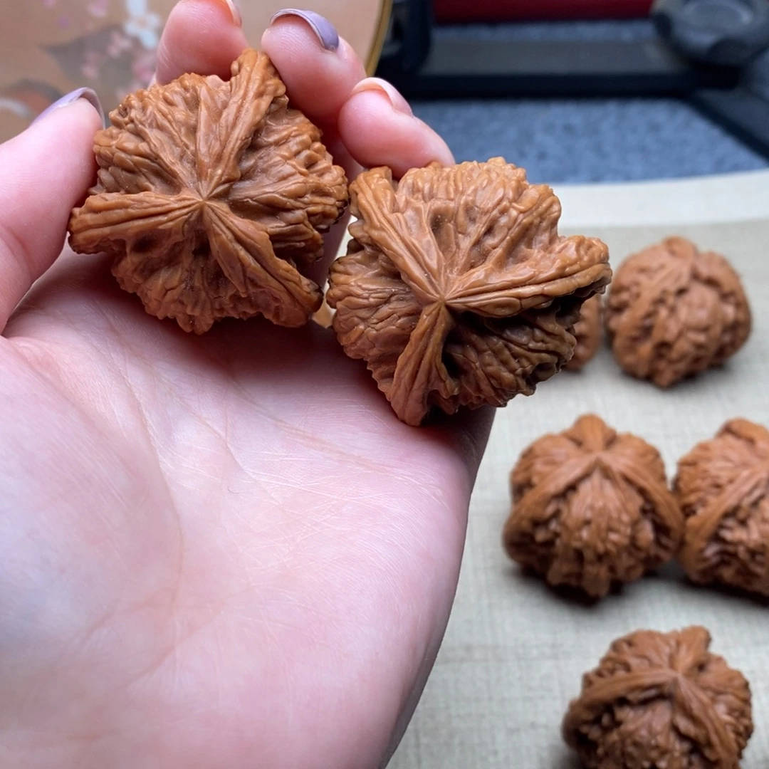 阿*.白狮子111111111111