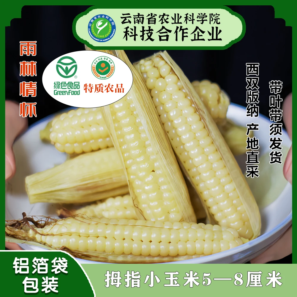 云南正宗拇指小玉米铝箔袋真空新鲜玉米西双版纳非转基因绿色食品