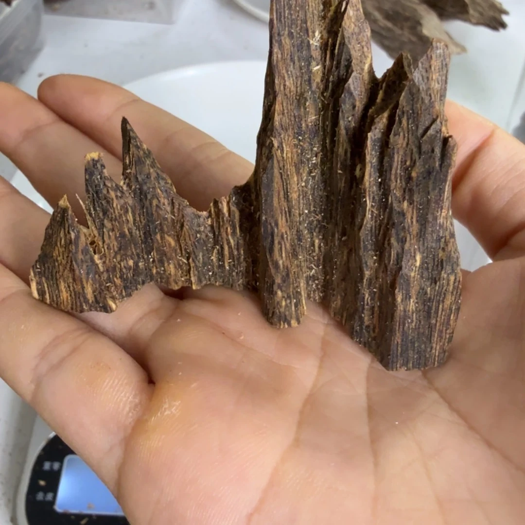 沉香碎屑沉香奇楠吊齿14克