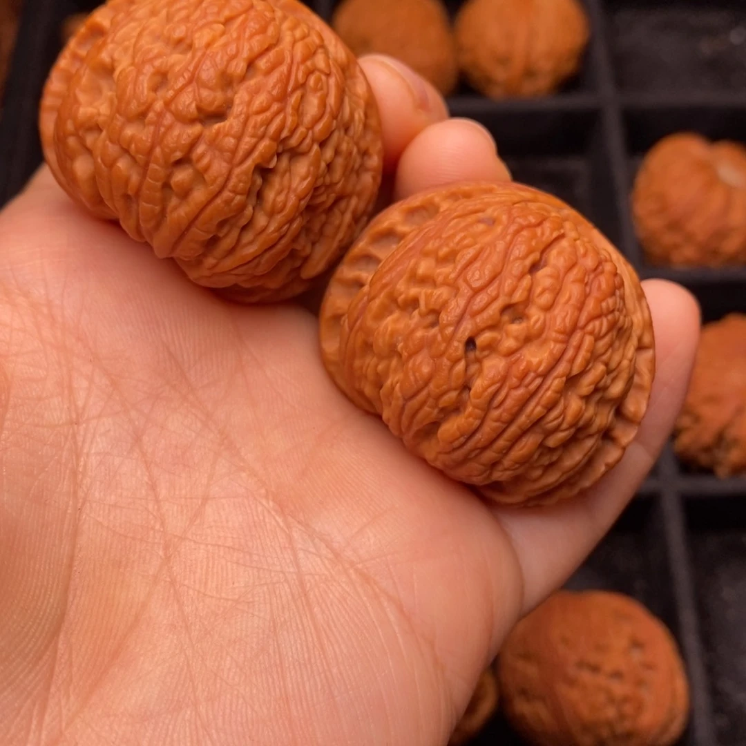 秦岭野生文玩核桃