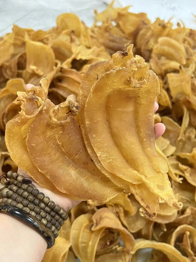 广东《铧隆堂》深海土鳘花胶鱼肚佳选滋补100-500g直播间现场