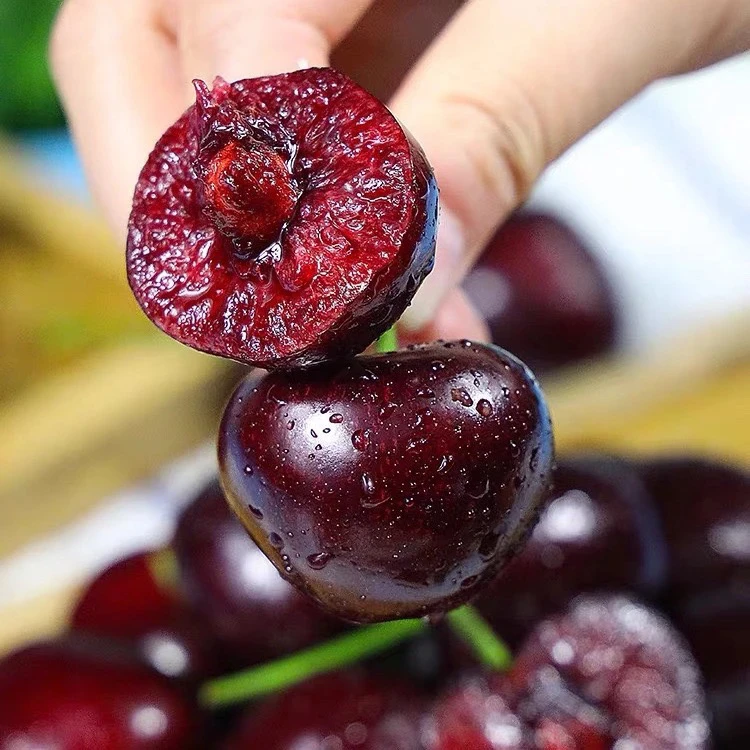 【亮哥】智利进口瑞吉娜车厘子海运5斤4J脆甜  内附果径卡