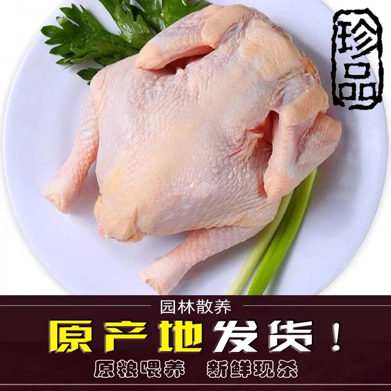 冷冻走地鸡西装鸡童子鸡去头商用烤鸡全鸡冻脆皮炸鸡白条鸡手撕鸡