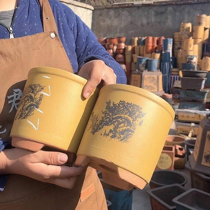 紫砂紫砂花盆盆栽