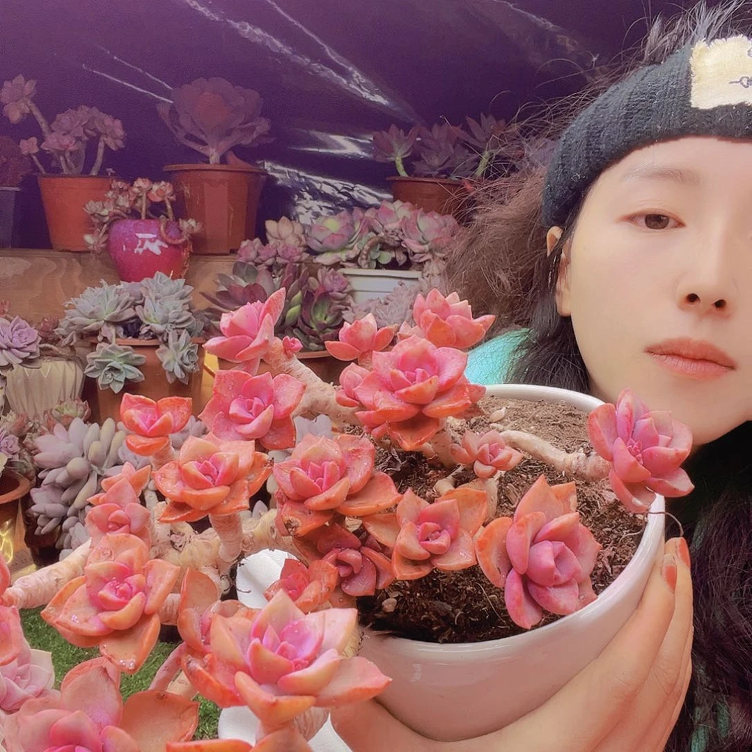 无铅玻璃蓝*灵彩虹老桩瓢