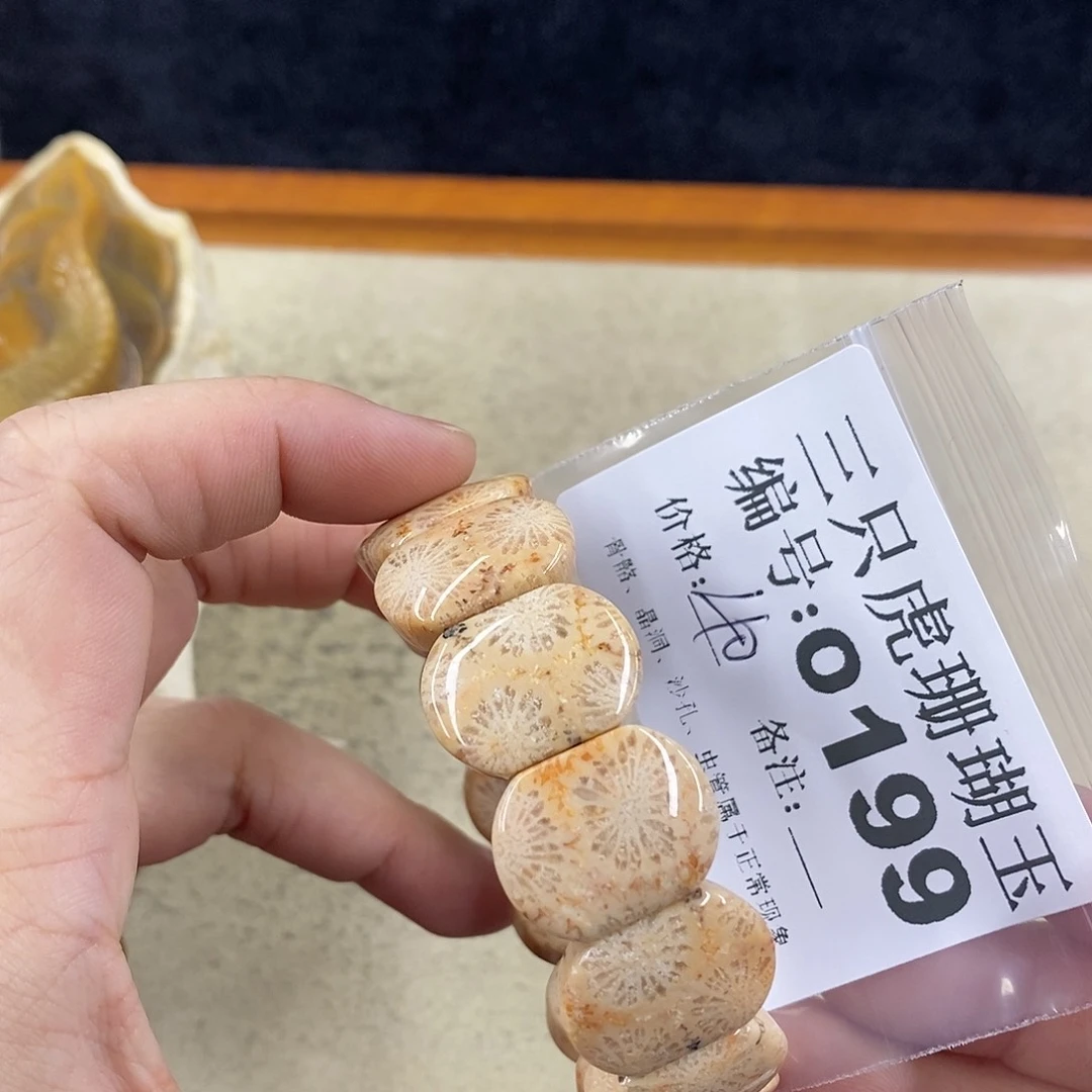 硅化珊瑚（珊瑚玉）1未镶嵌曾**时