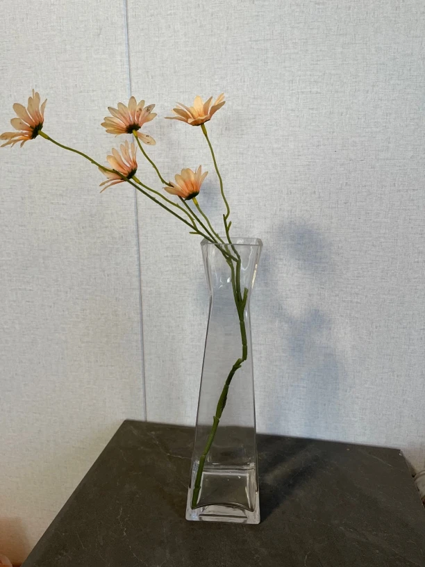 一只花透明玻璃花瓶水培绿植花器A005