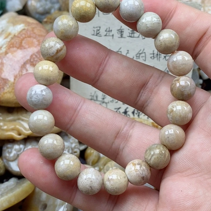 硅化珊瑚（珊瑚玉）未镶嵌颈饰