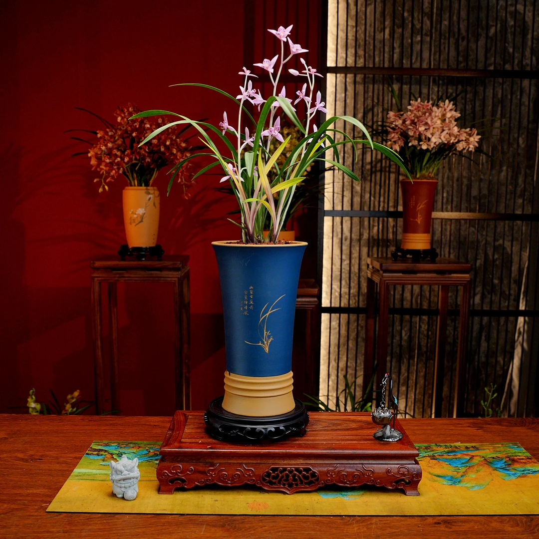 建兰铭品【红三娘】名贵兰花 宜兴大师黄段泥紫砂盆 室内好养易活