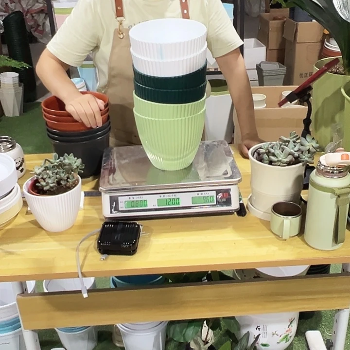 竖纹170。口17高15混色无托6只