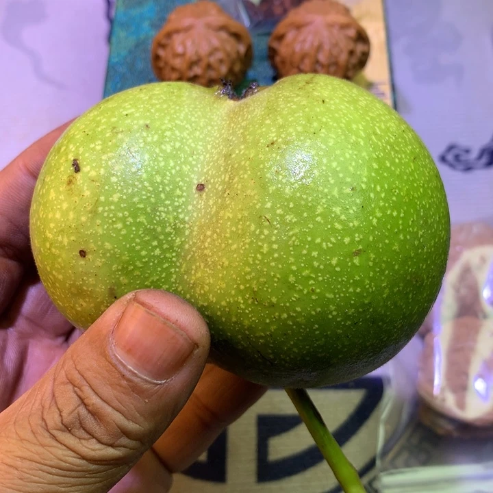 把件文玩核桃月****七红锦鲤青皮