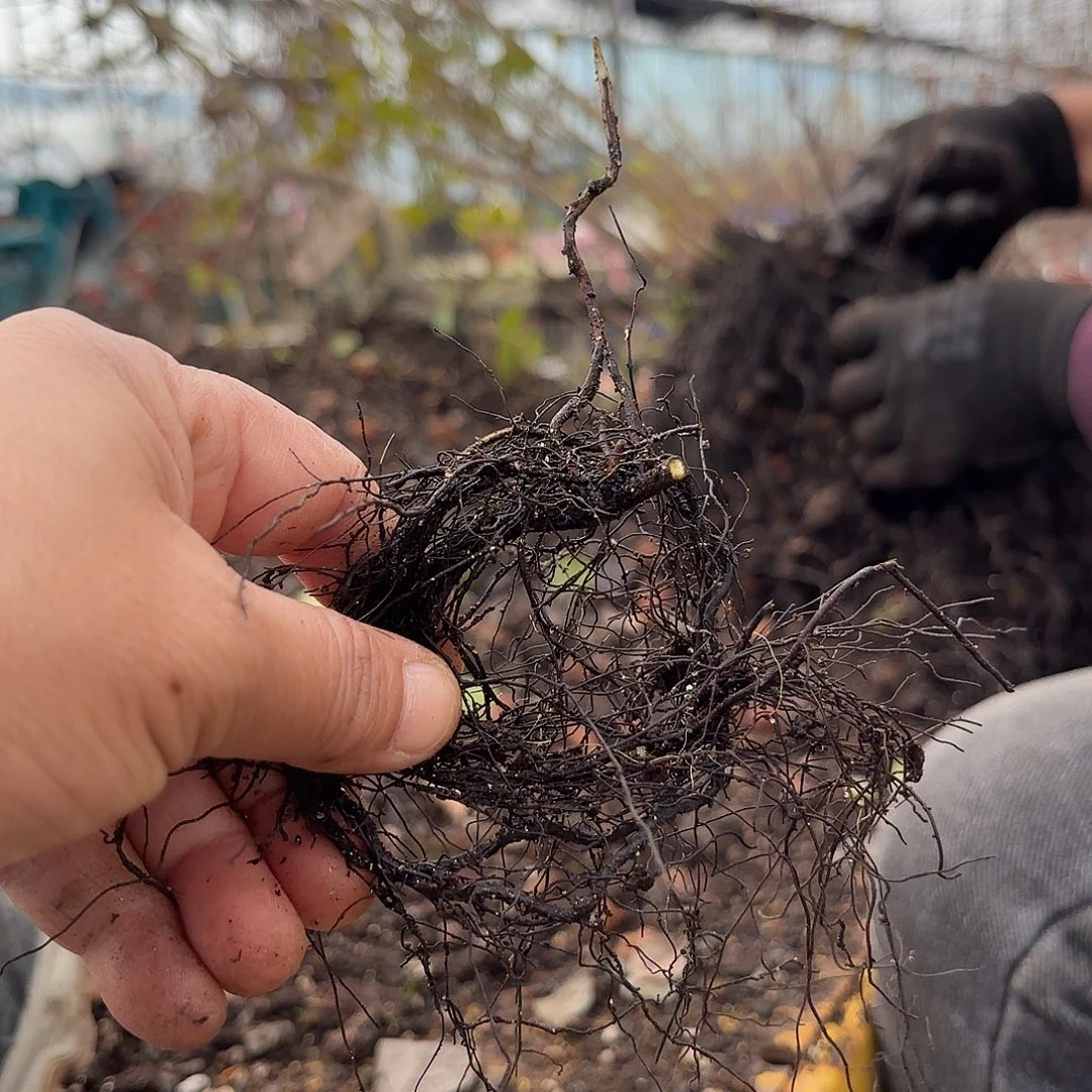 雷***红阳哈哈哈哈哈哈哈哈